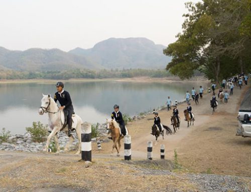 Horse Trail GHRC Special Performance