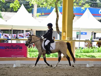 Pantapin Chamrusromrun